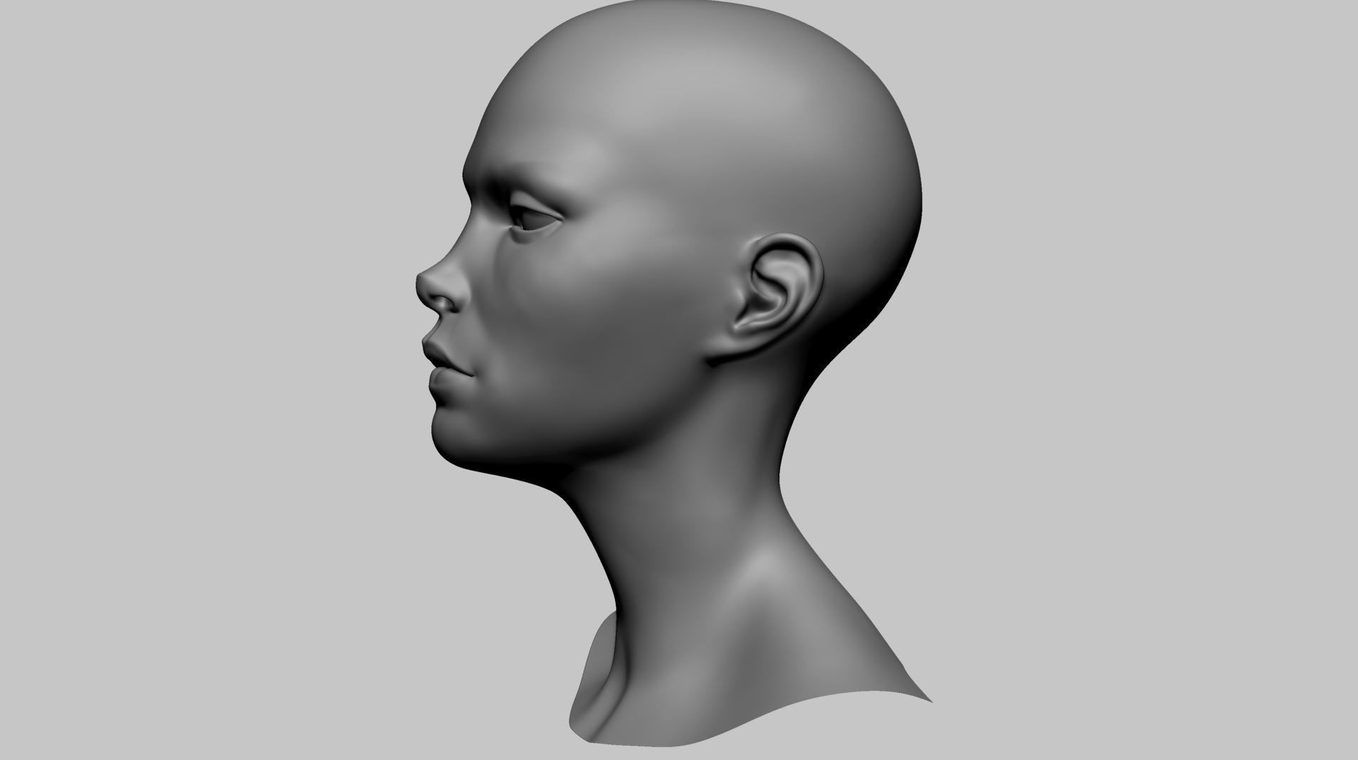 Stylized Head Basemesh A 3D model_5