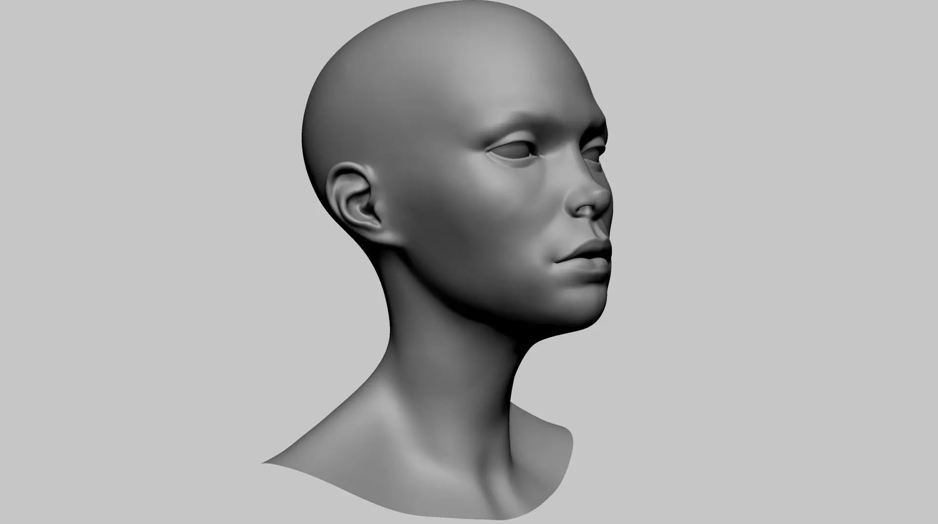 Stylized Head Basemesh A 3D model_0