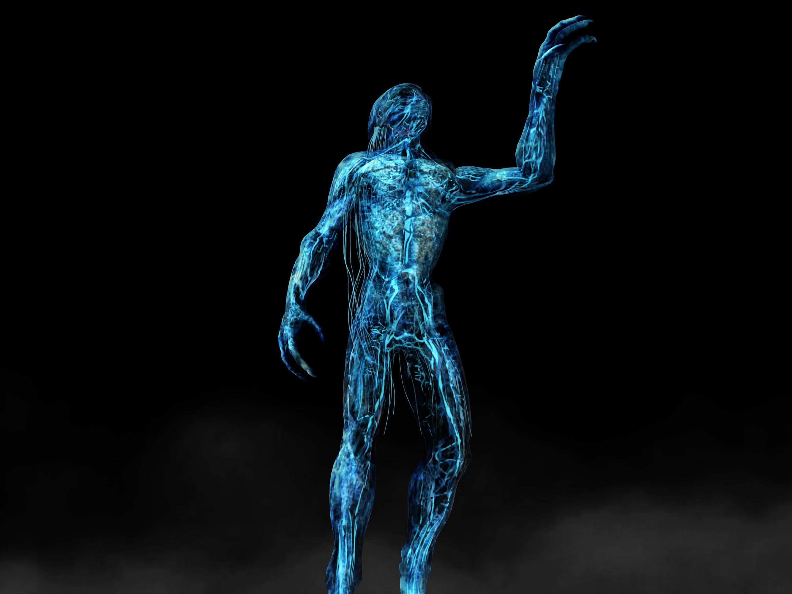 Alien Circulatory System Low-poly 3D model_8