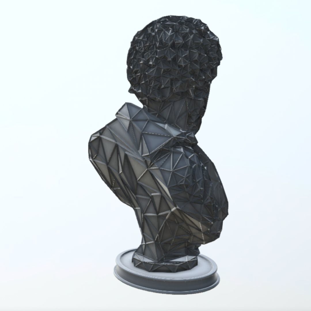 Marcus Aurelius Bust WIREFRAME VORONOI WIREMESH MESH 3D print model_2