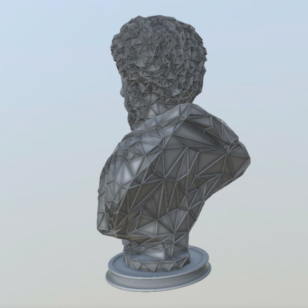 Marcus Aurelius Bust WIREFRAME VORONOI WIREMESH MESH 3D print model_1