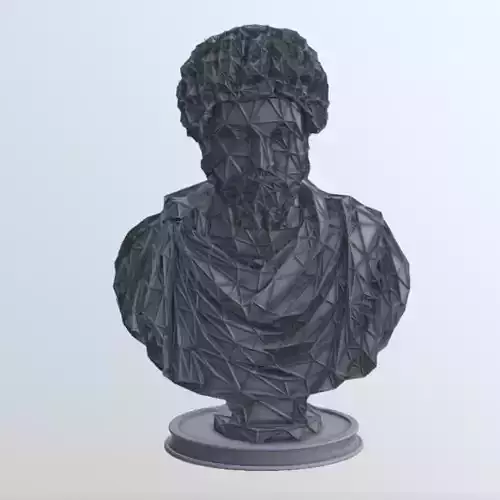 Marcus Aurelius Bust WIREFRAME VORONOI WIREMESH MESH 3D print model