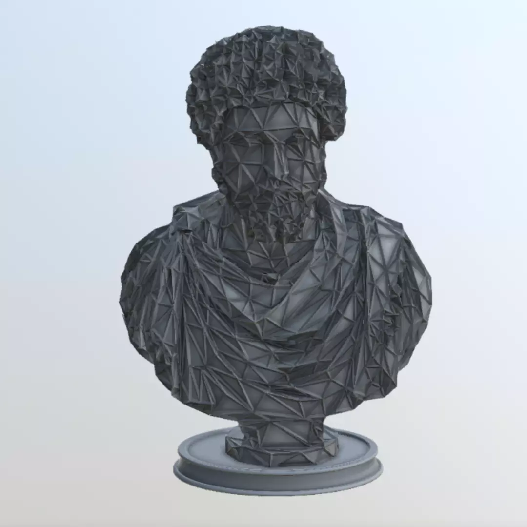 Marcus Aurelius Bust WIREFRAME VORONOI WIREMESH MESH 3D print model_0