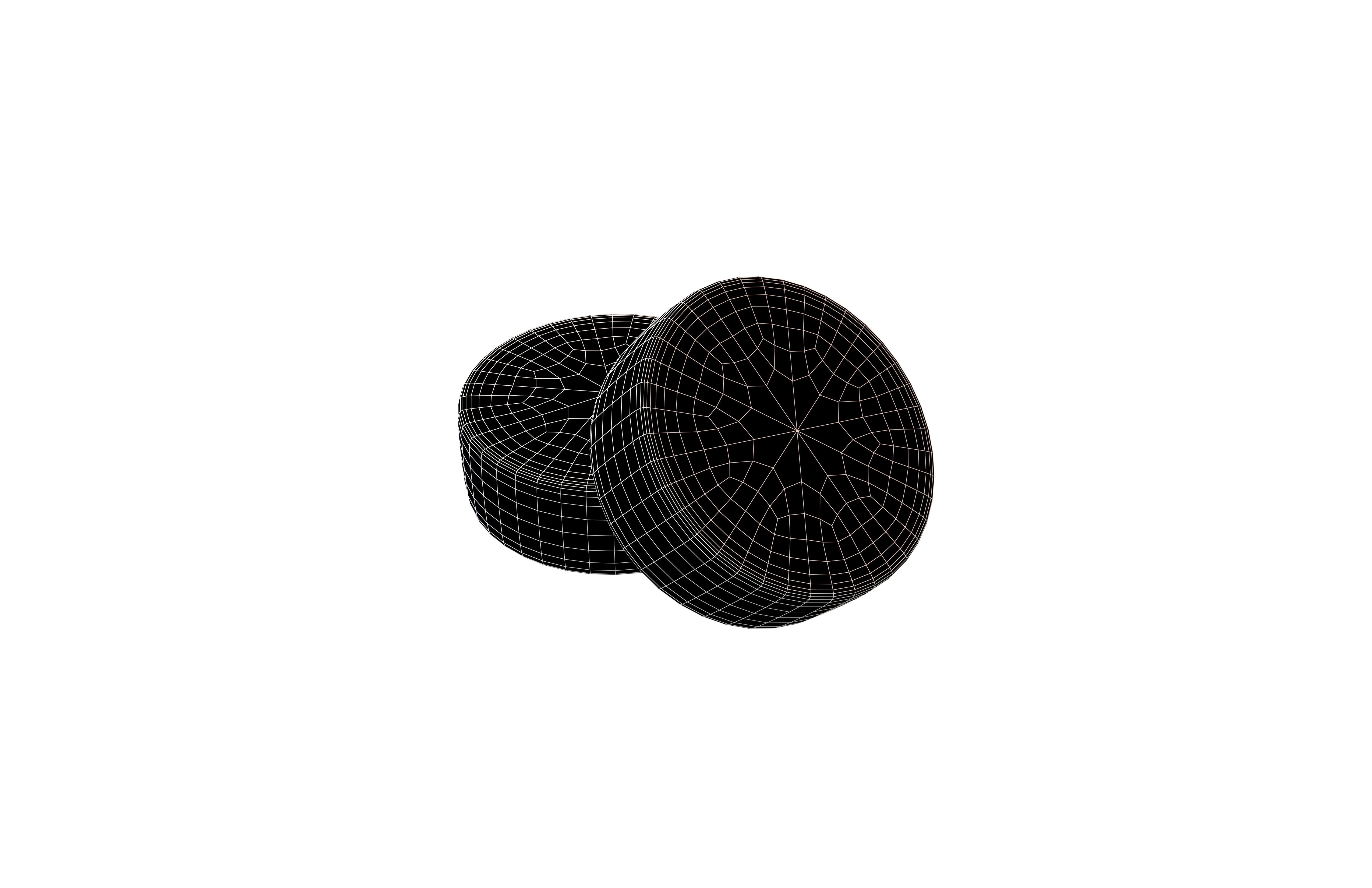 Circle Magnet v1 001 Low-poly 3D model_6