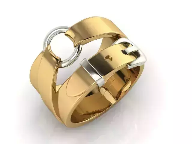 belt ring 3D print model
