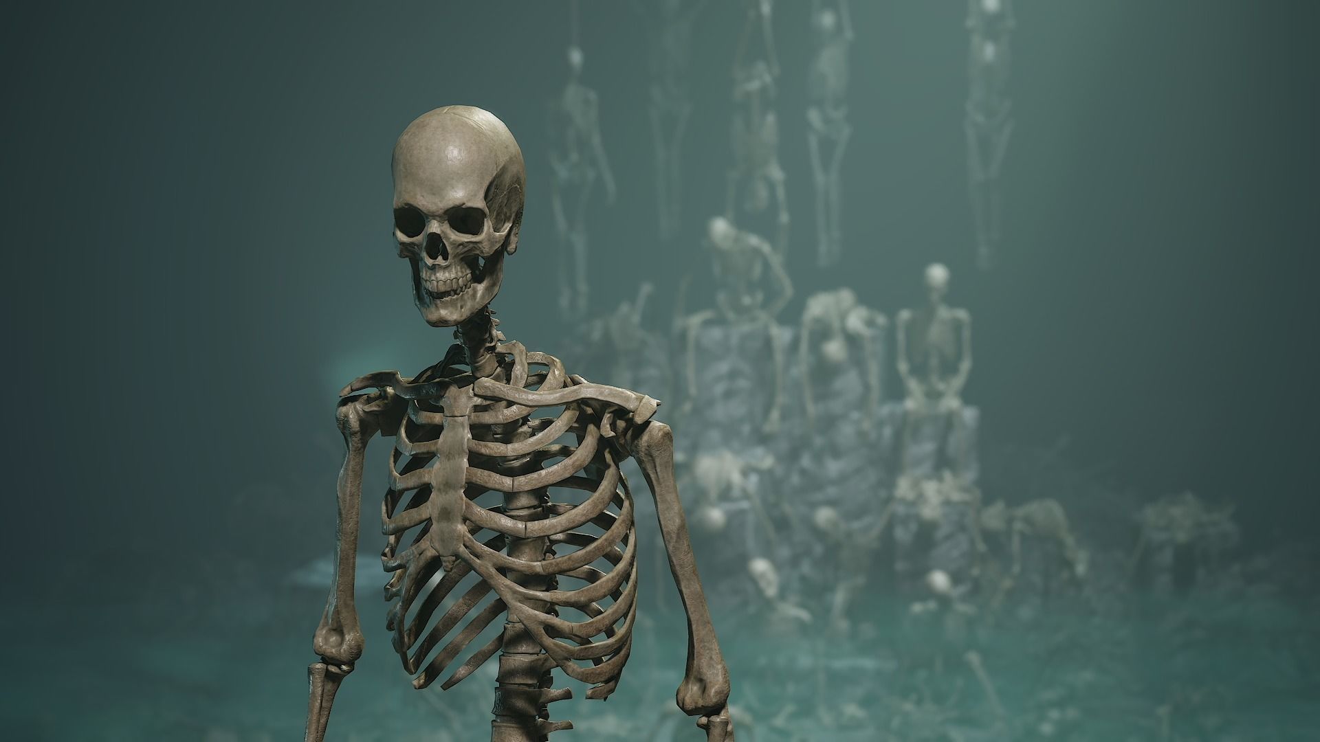 Skeleton Ultimate Pack Low-poly 3D model_3