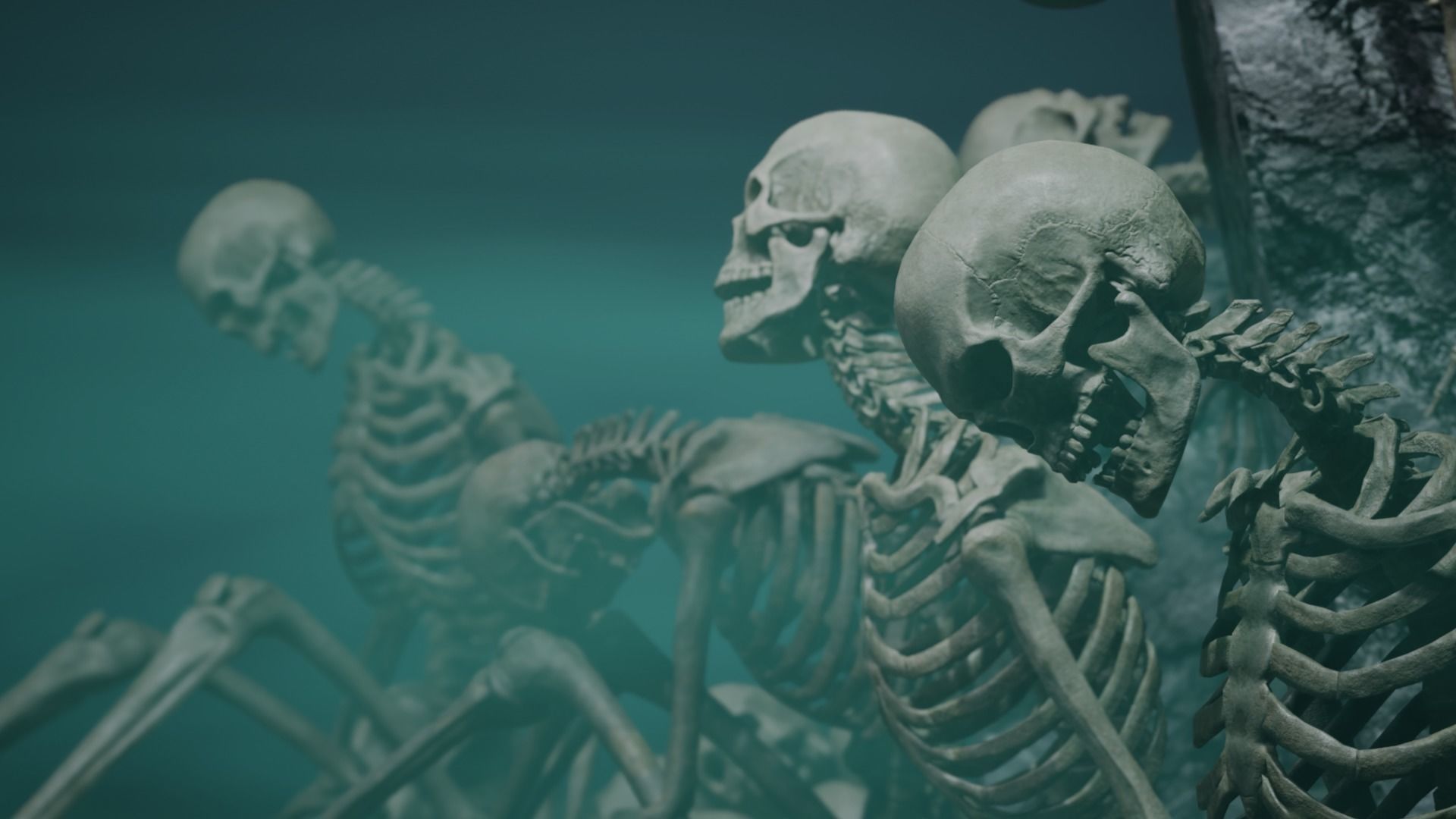 Skeleton Ultimate Pack Low-poly 3D model_12