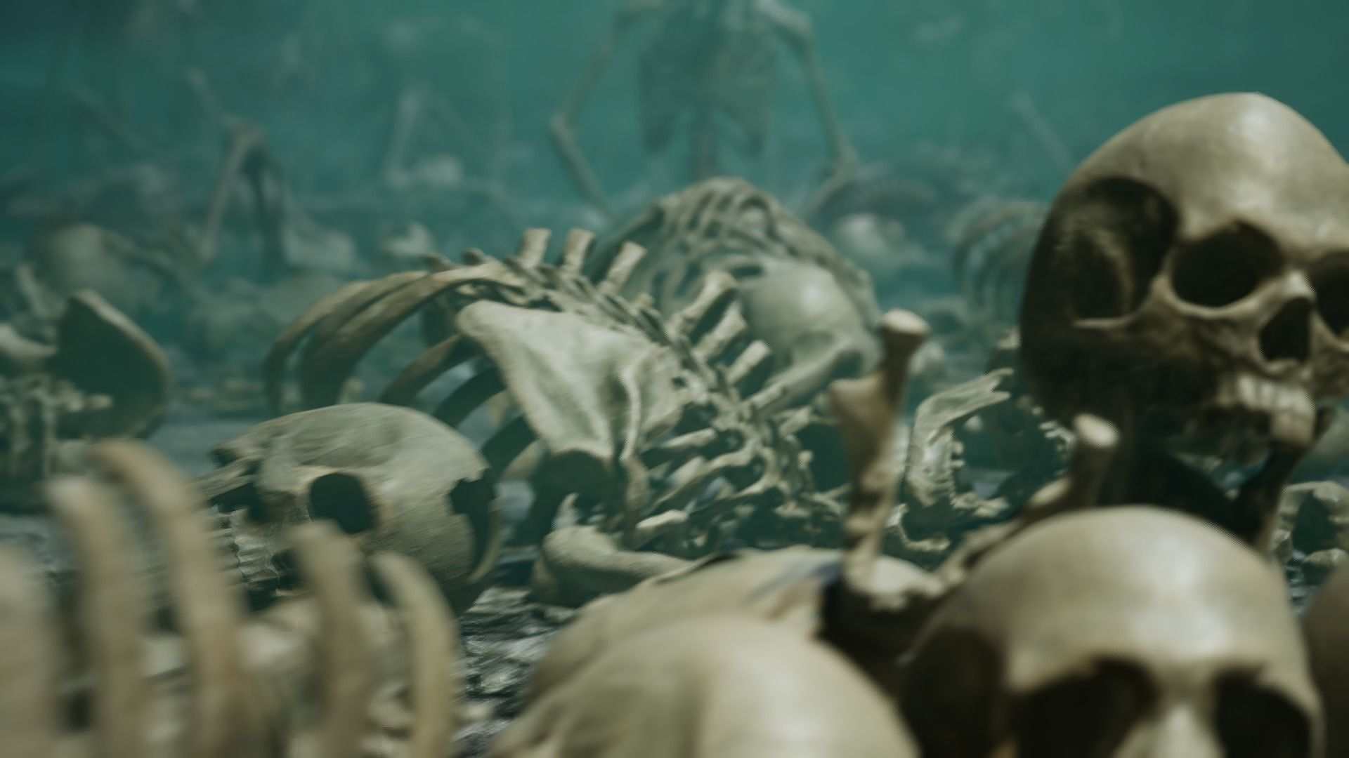 Skeleton Ultimate Pack Low-poly 3D model_9