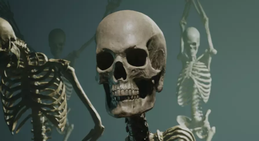 Skeleton Ultimate Pack Low-poly 3D model_0