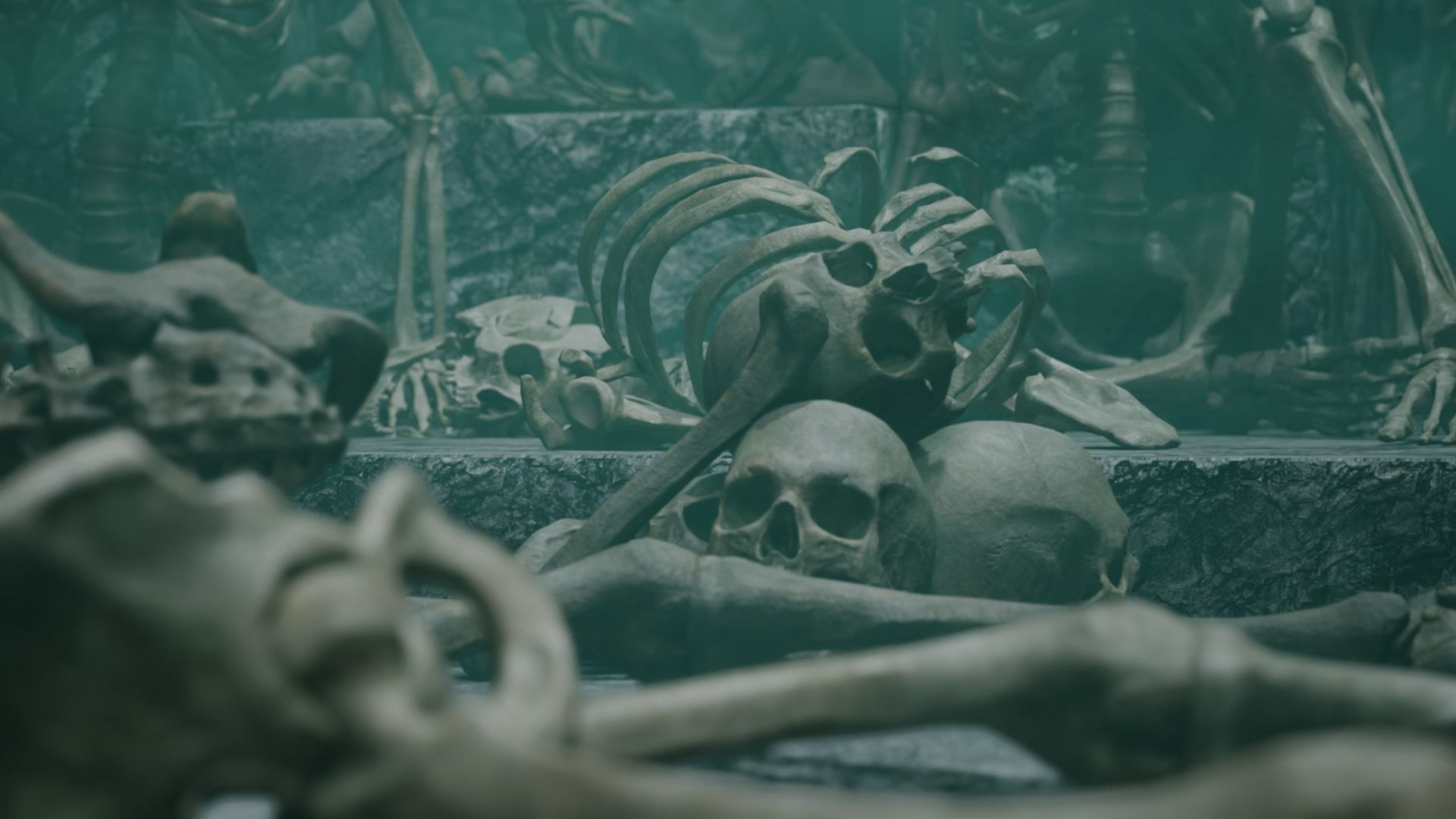 Skeleton Ultimate Pack Low-poly 3D model_21