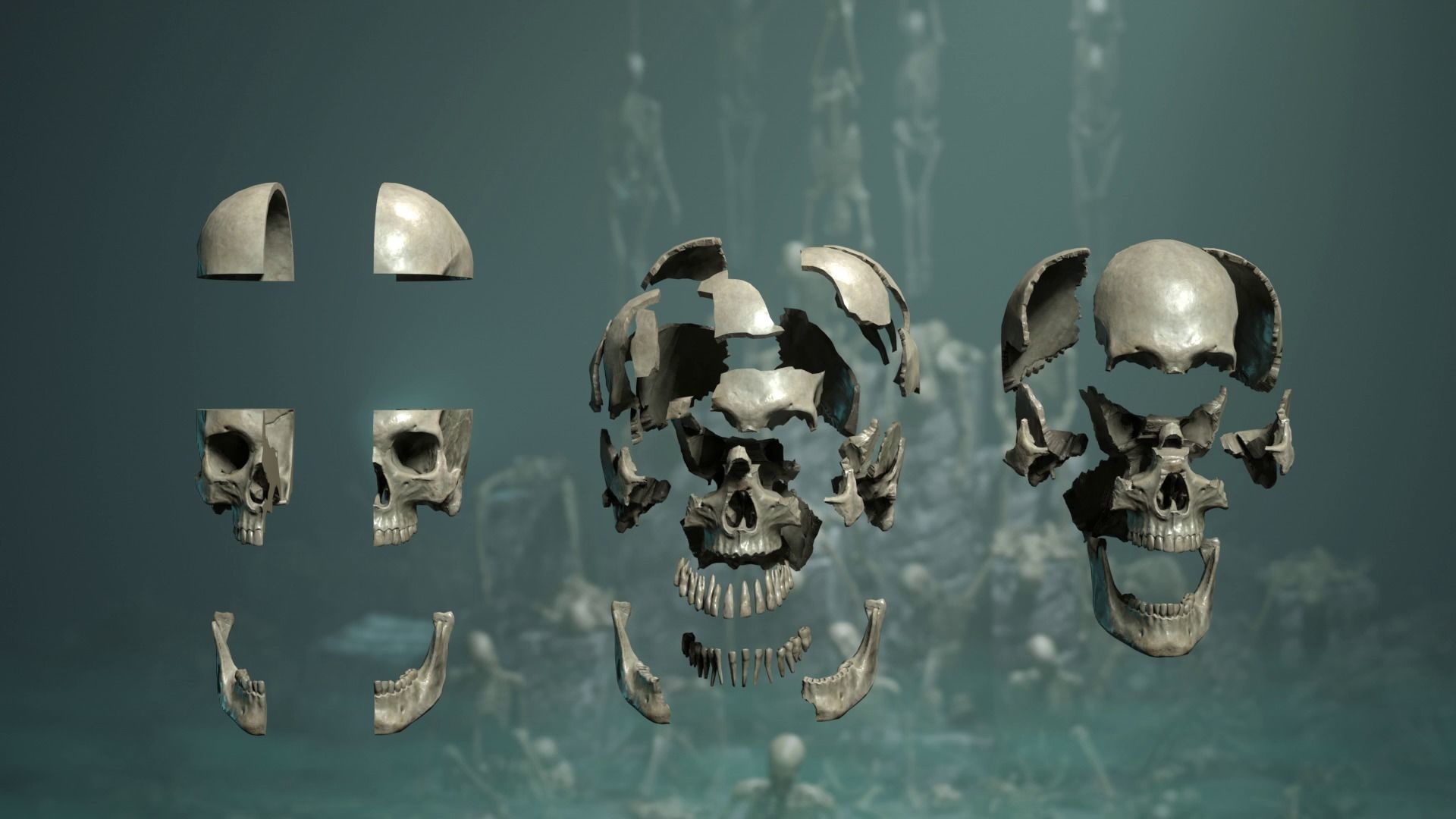 Skeleton Ultimate Pack Low-poly 3D model_8