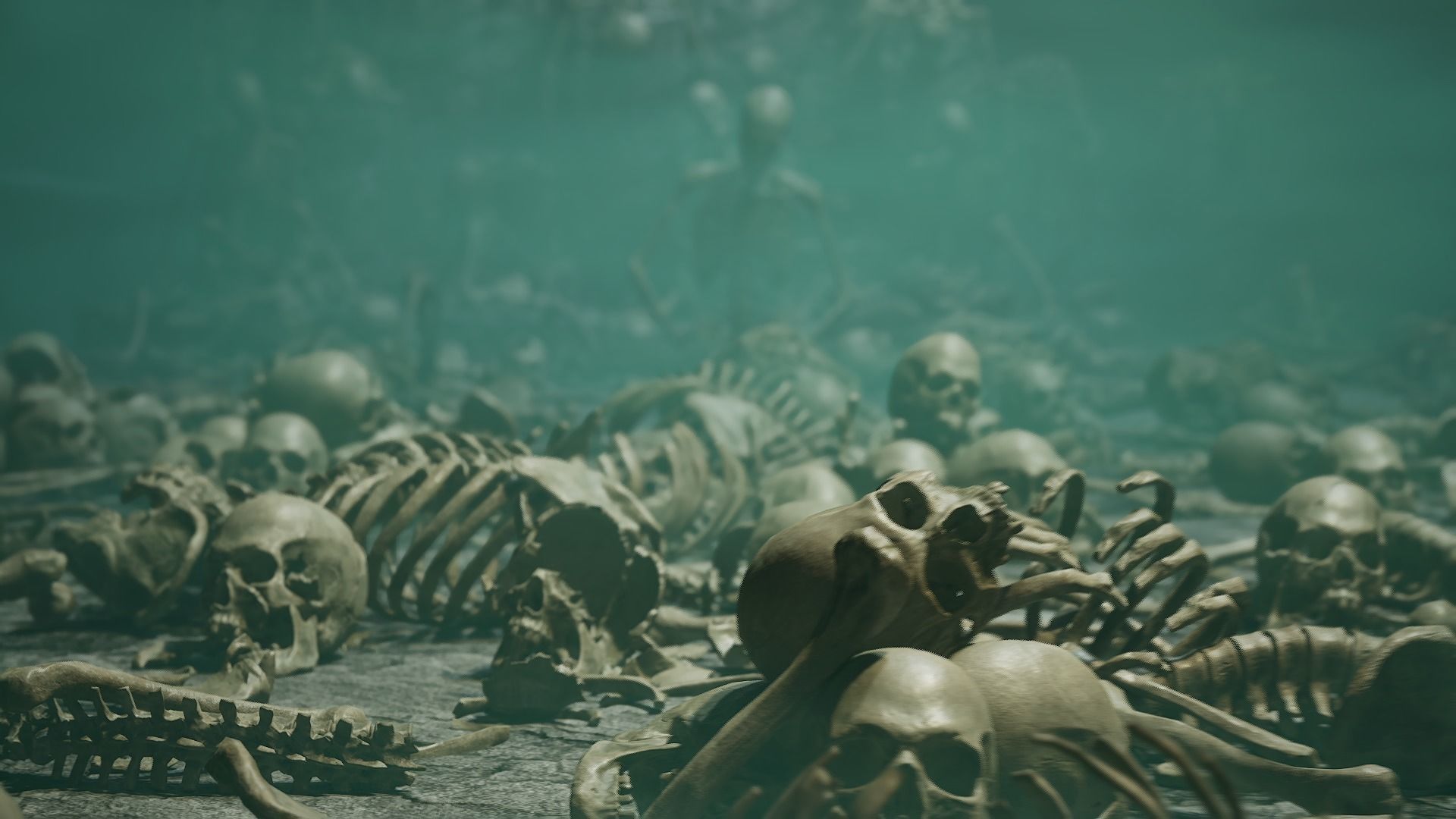 Skeleton Ultimate Pack Low-poly 3D model_10