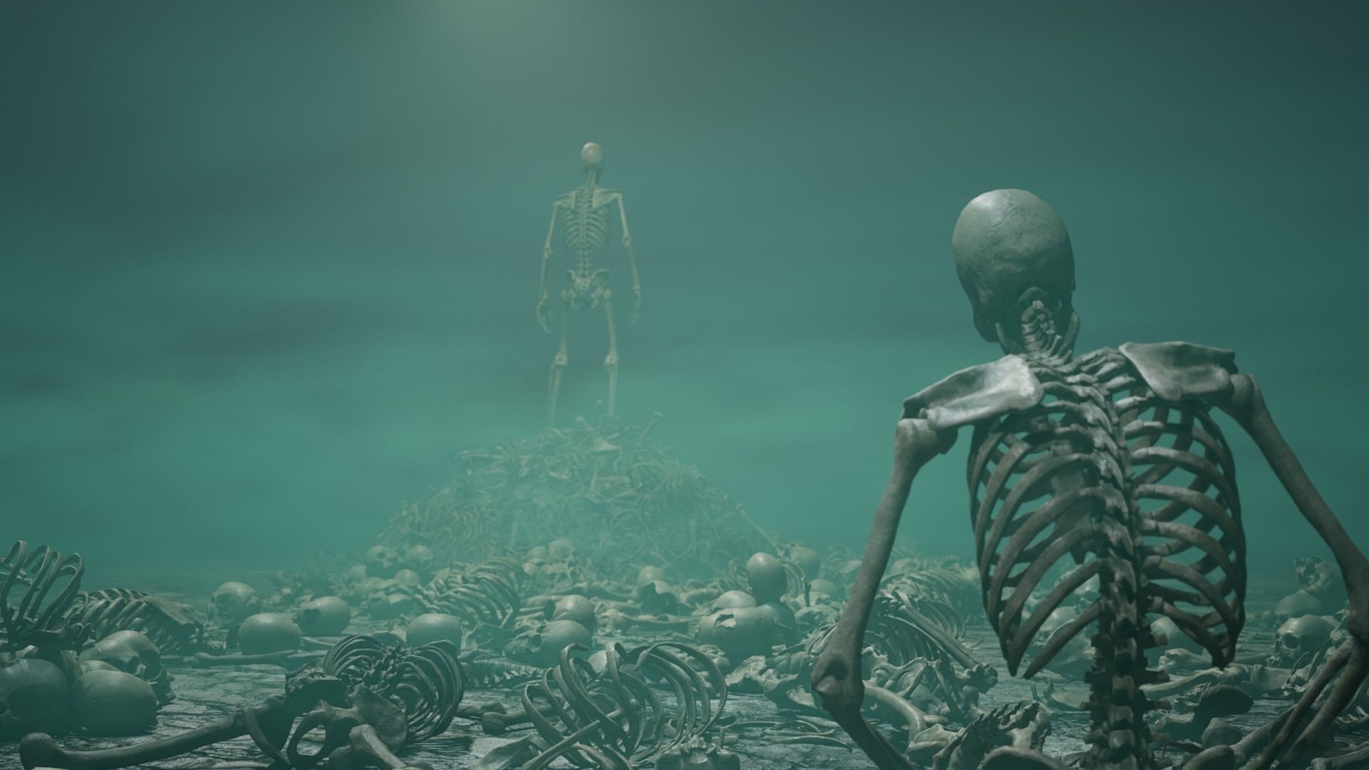 Skeleton Ultimate Pack Low-poly 3D model_13