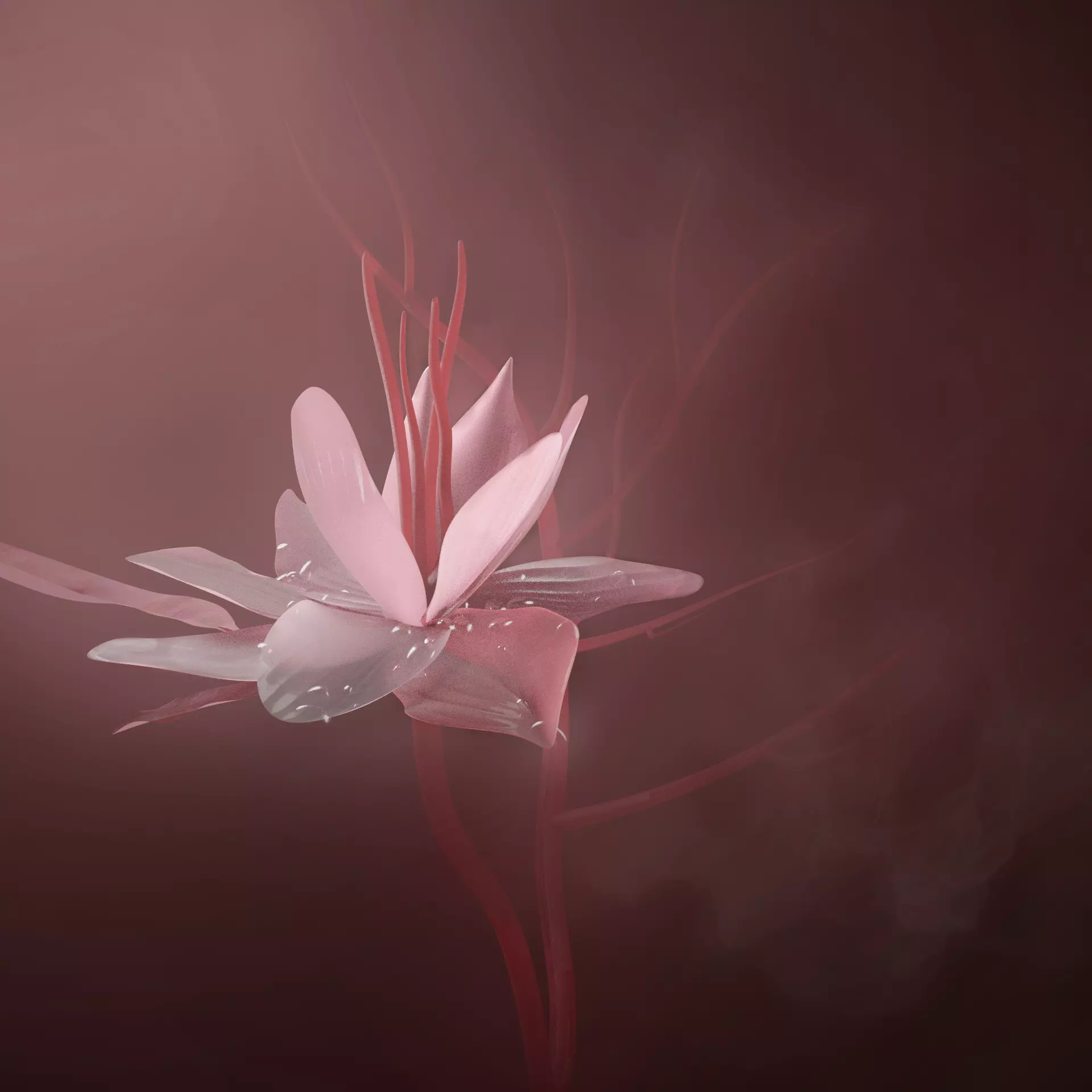 White Flower Low-poly 3D model_0
