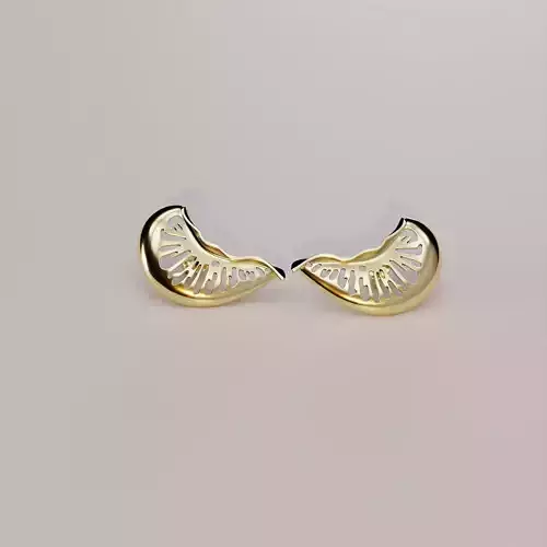 Junonia seashell earring pre supported file included 3D print model