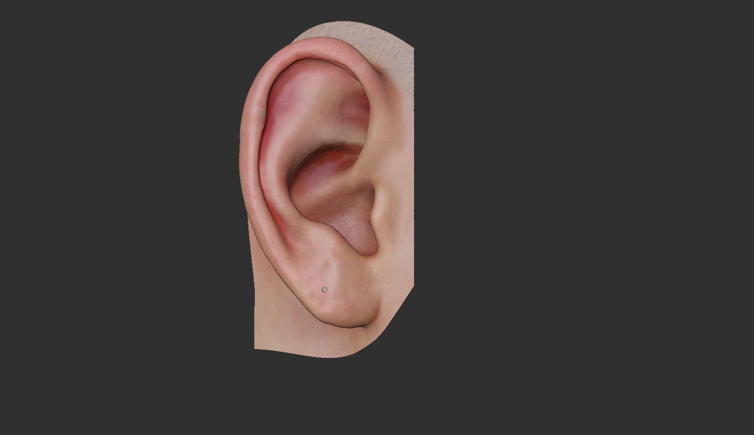 Junonia seashell earring pre supported file included 3D print model_12