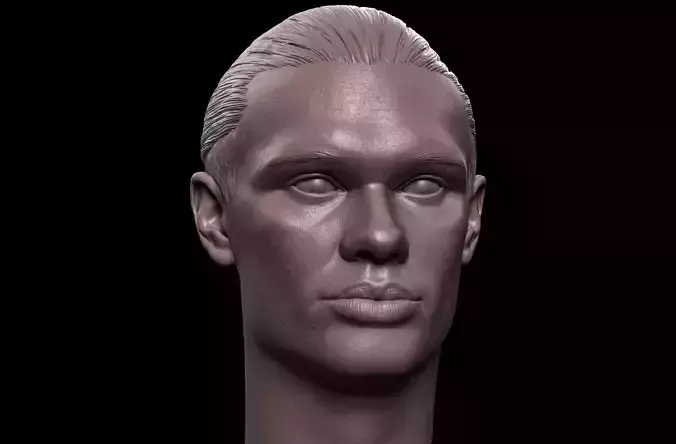 Erling Haaland Head 3D print model