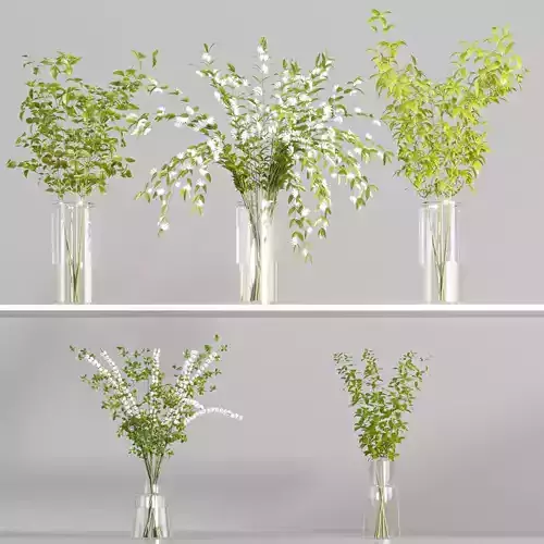 Collaction Indoor Plants 02