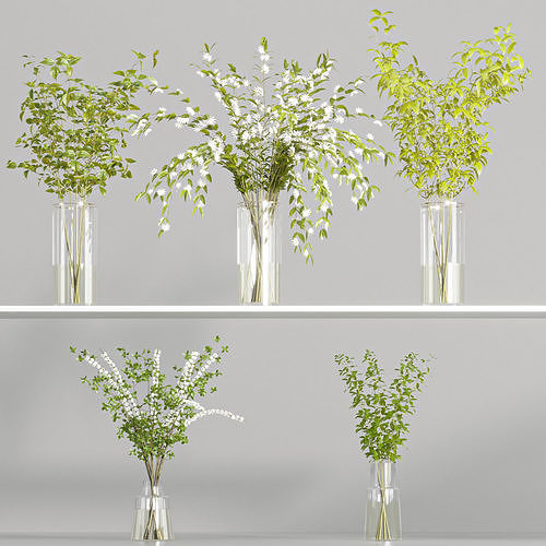 Collaction Indoor Plants 02 3D model