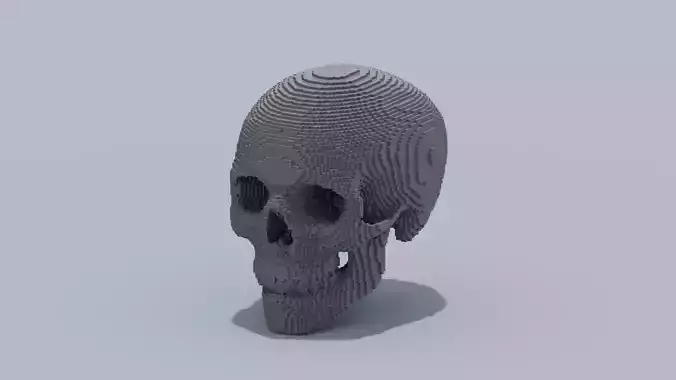 Voxel Skull
