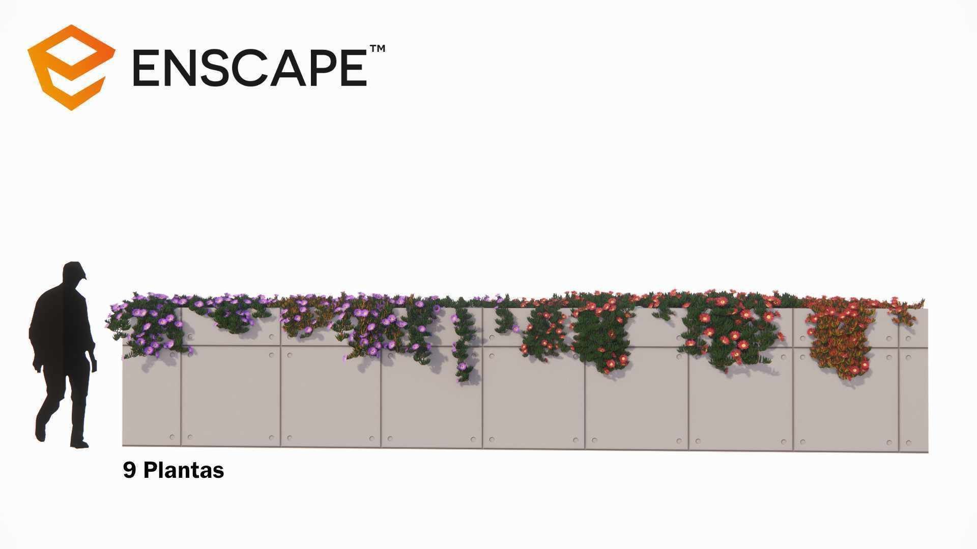 Carpobrotus edulis 3D model_1