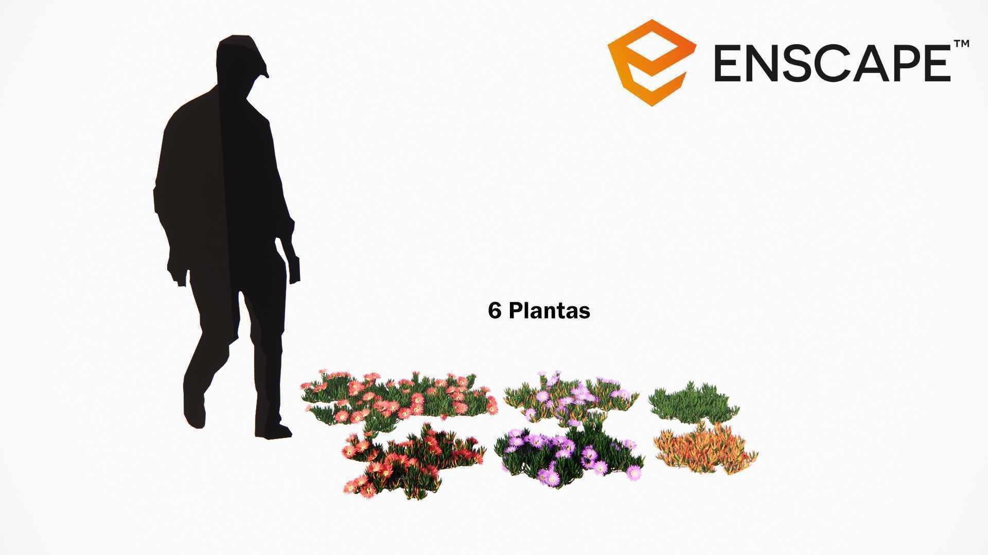 Carpobrotus edulis 3D model_3