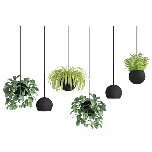 Hanging metal plant pot