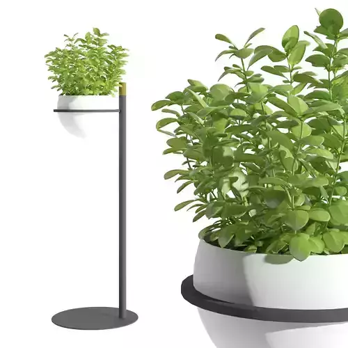 metal plant pot