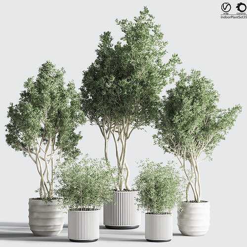 IndoorPlantSet35 set of potted plants 3D model