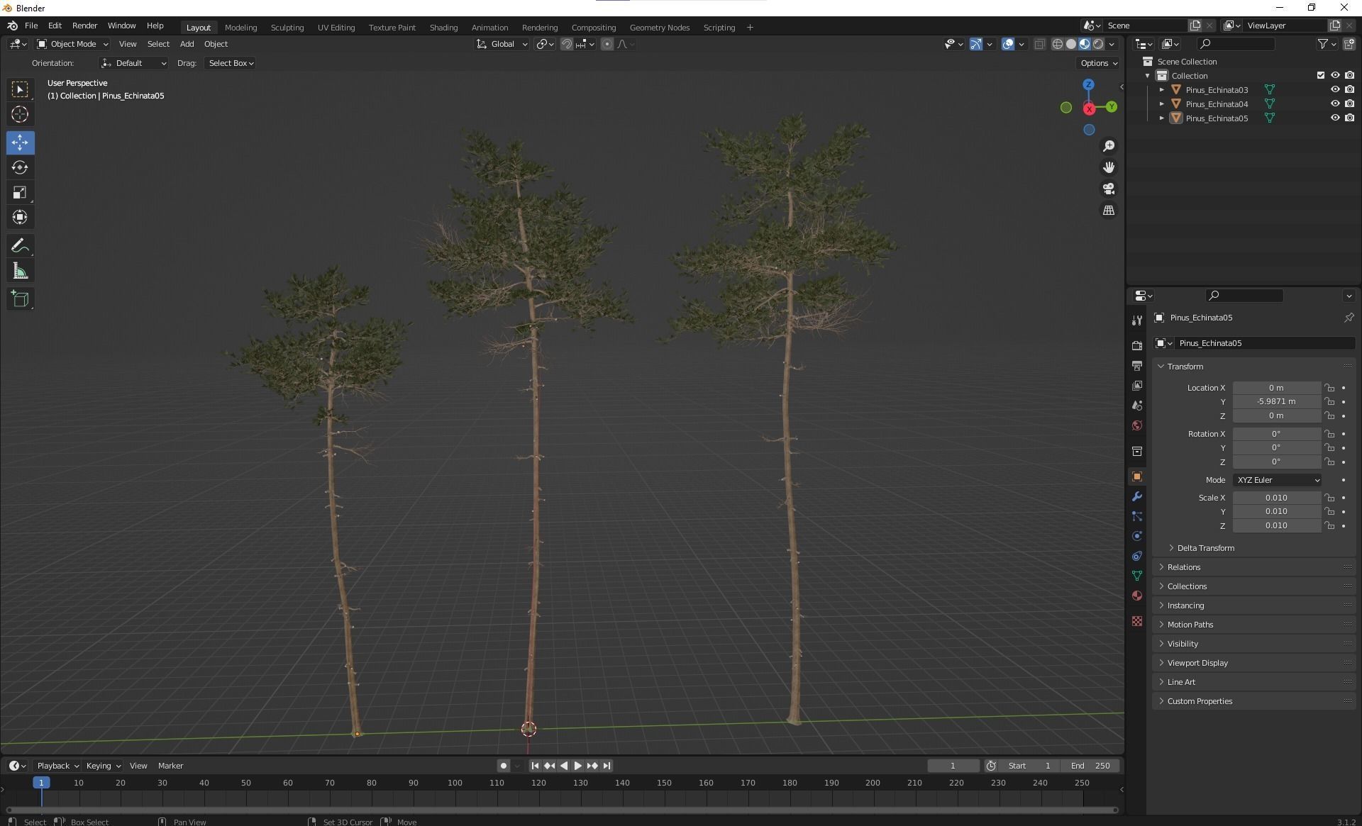 New Plant High detail Pinus Echinata02 3D model_6