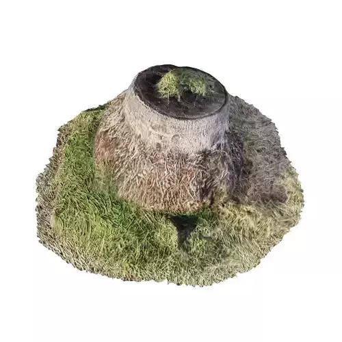 Low-Poly Scanned Tree stump 3D model  3D model