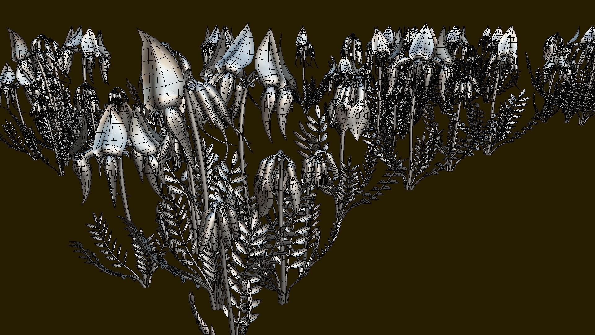 Flower Swainsona Formosa  Low-poly 3D model_14