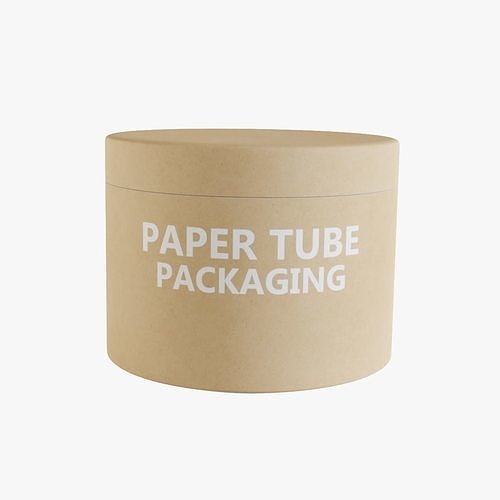 3D model Paper Tube 8 VR / AR / lowpoly CGTrader