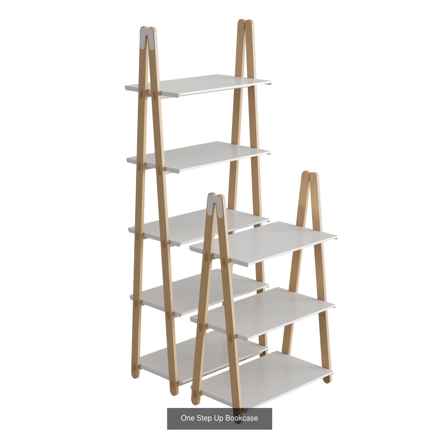 Shelf Collection 02 _4