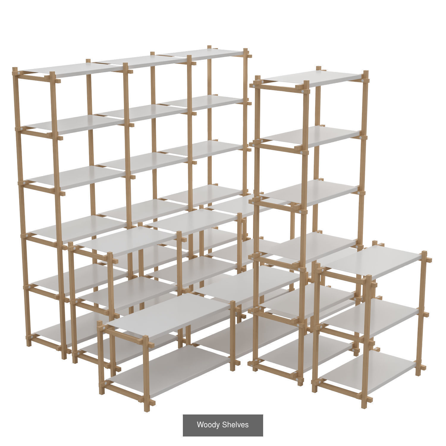 Shelf Collection 01 _6