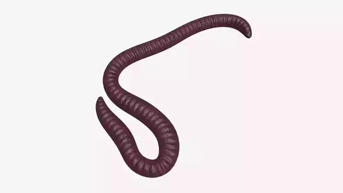 Red worm 01 3D model