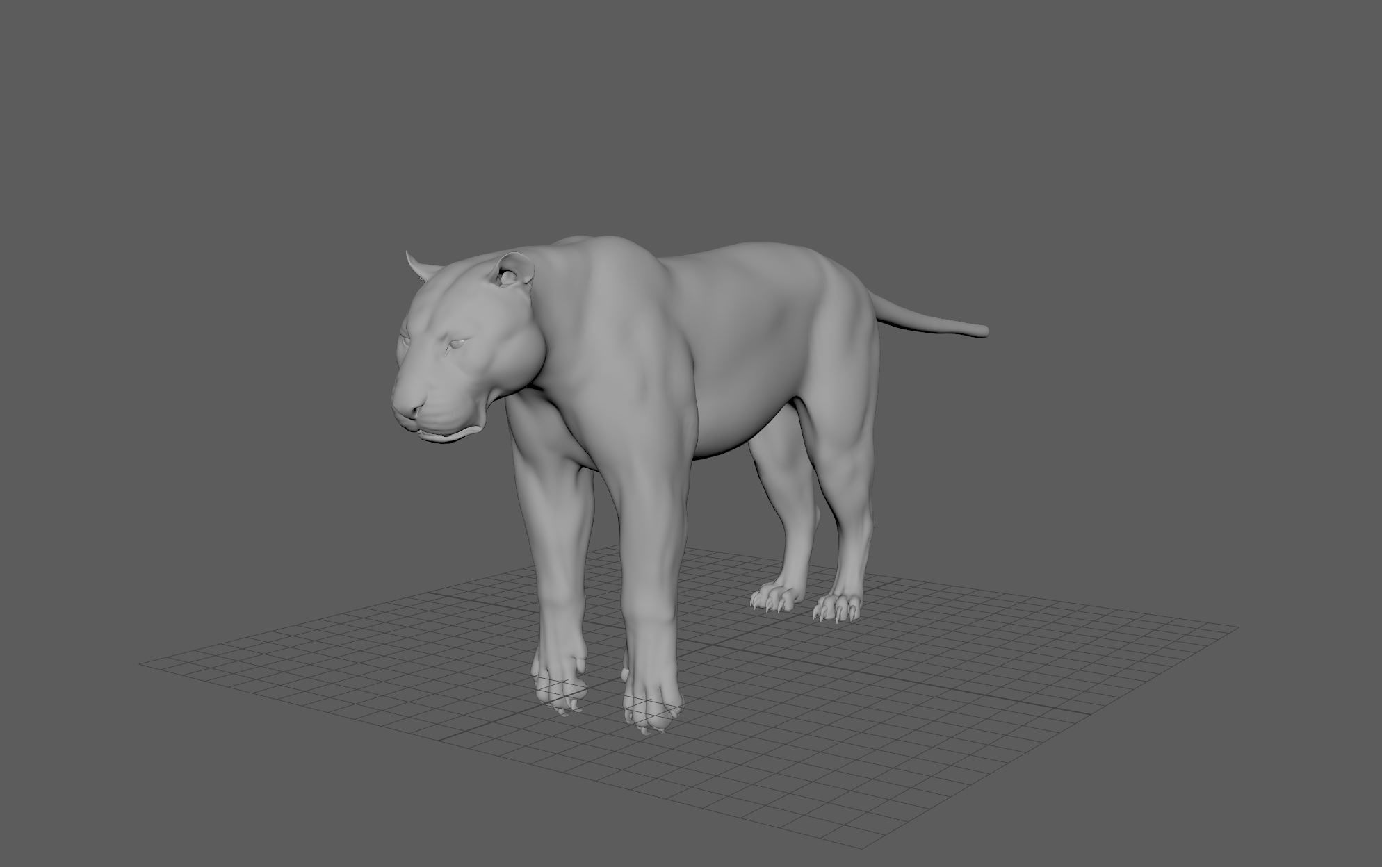 Tiger with bones and UVs 3D model_1