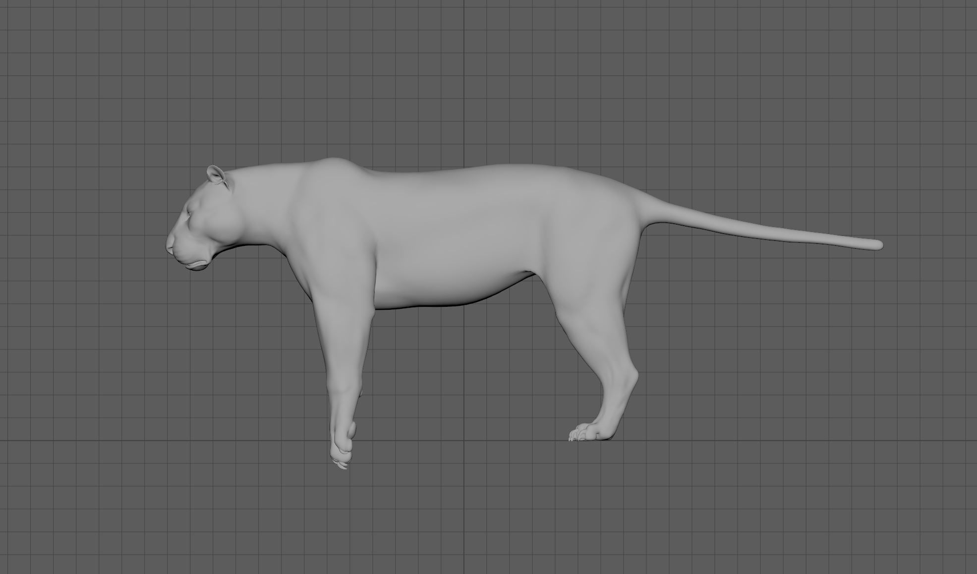 Tiger with bones and UVs 3D model_3