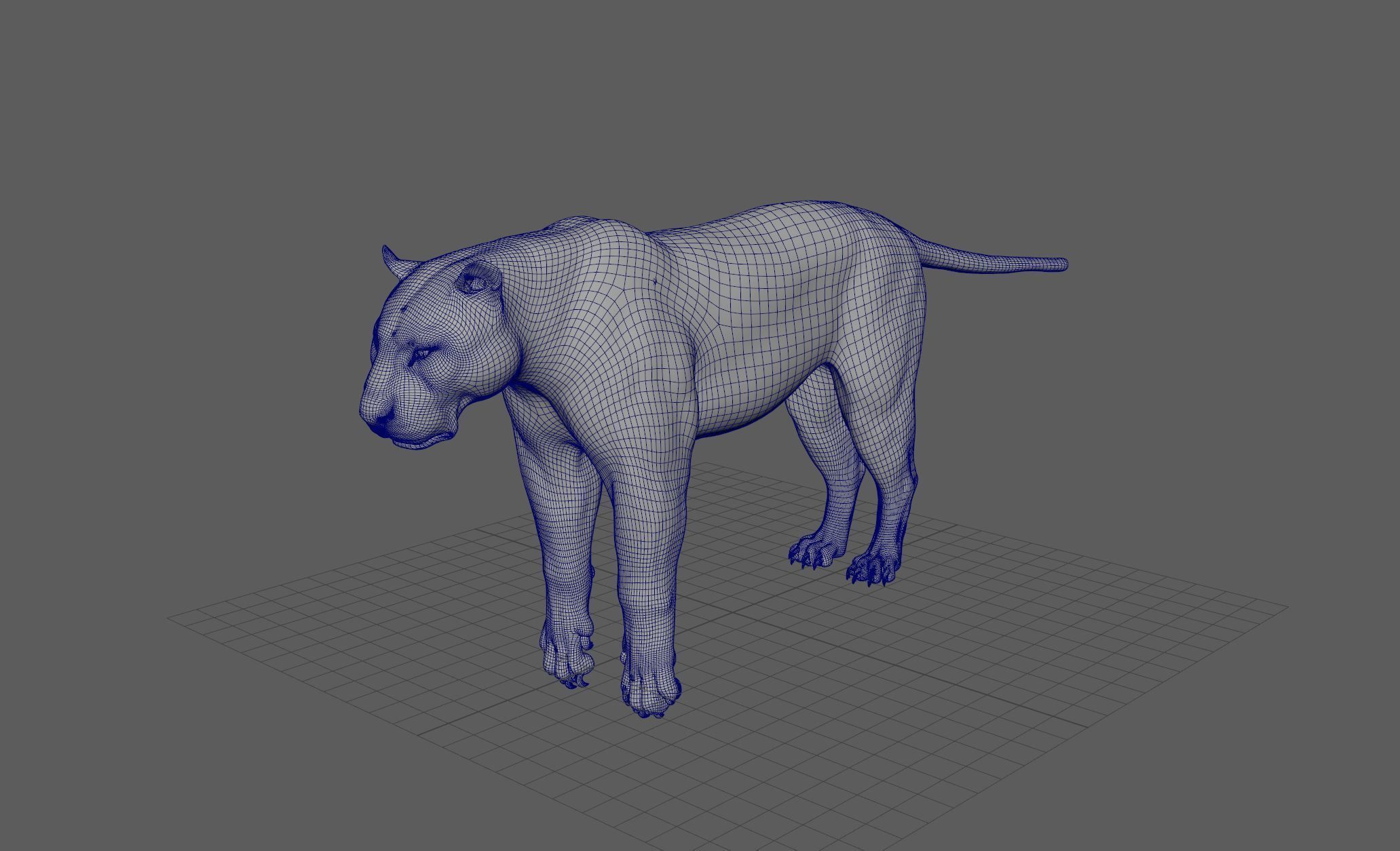 Tiger with bones and UVs 3D model_5