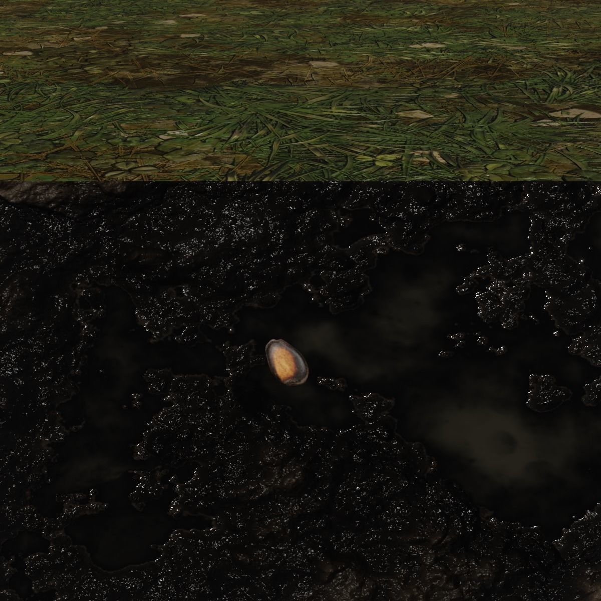 Plant sprout growing process 3D model_2