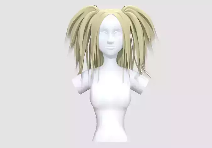 Pigtails Up Hairstyle 