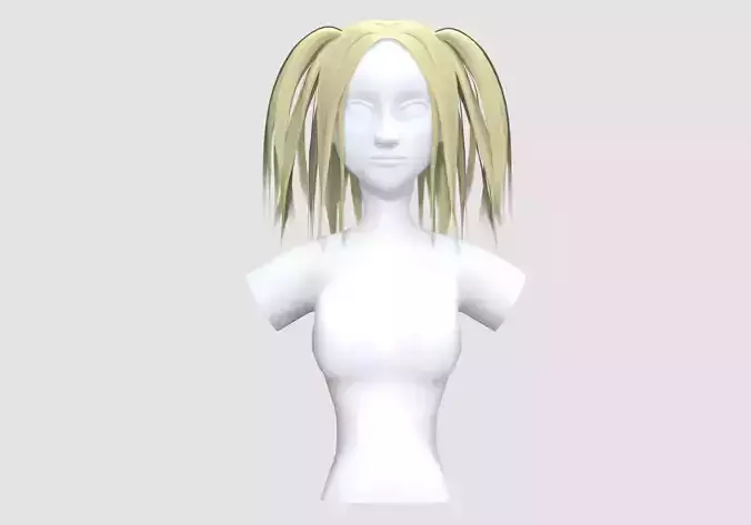 Pigtails Long Hairstyle 