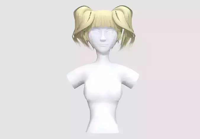 Pigtails Bangs Hairstyle 