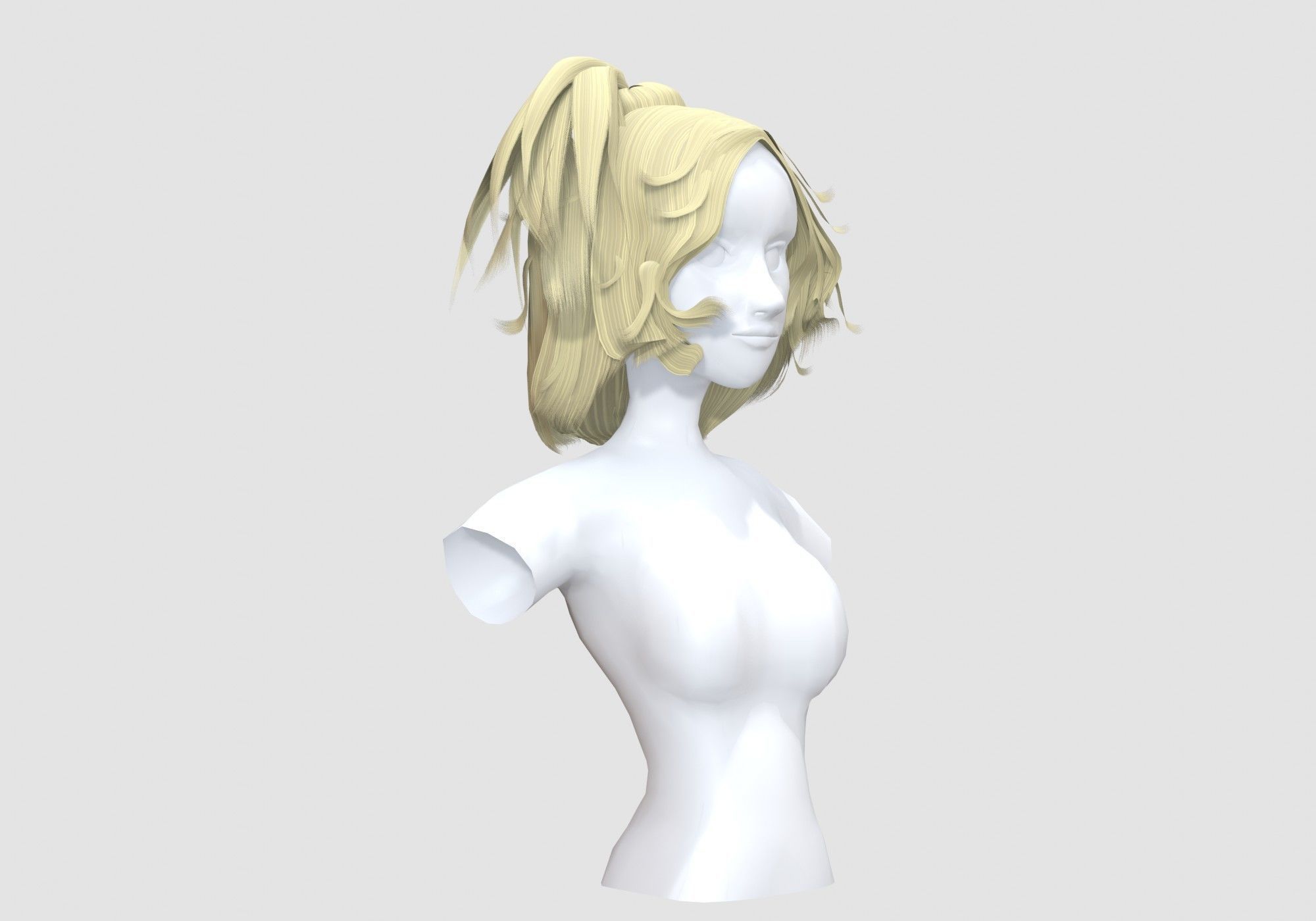 Pigtail Female Hairstyle 3D model_1