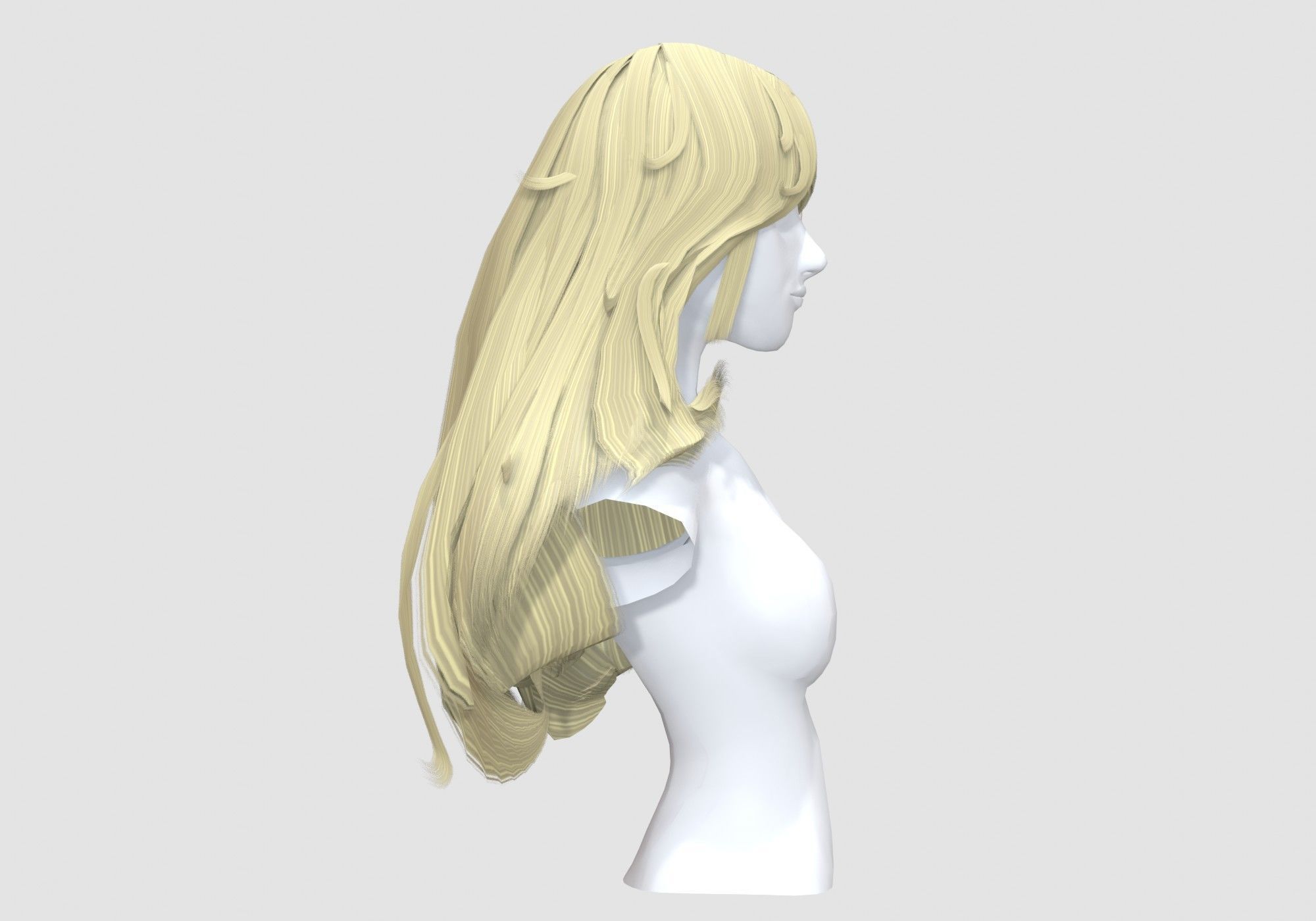 Long Female Hairstyle 3D model_2