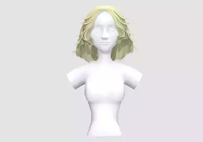 Basic Female Hairstyle 