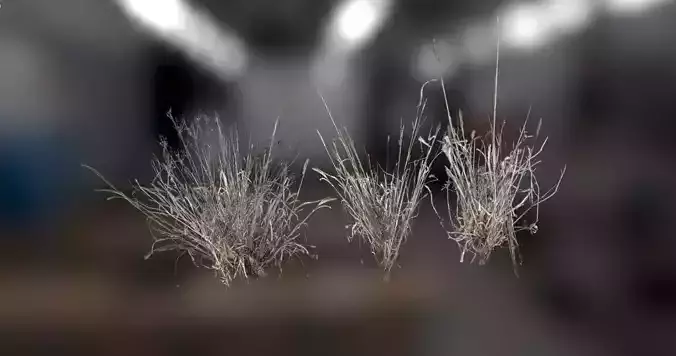 Photo Realistic Dry  Grass  Low-poly 3D model