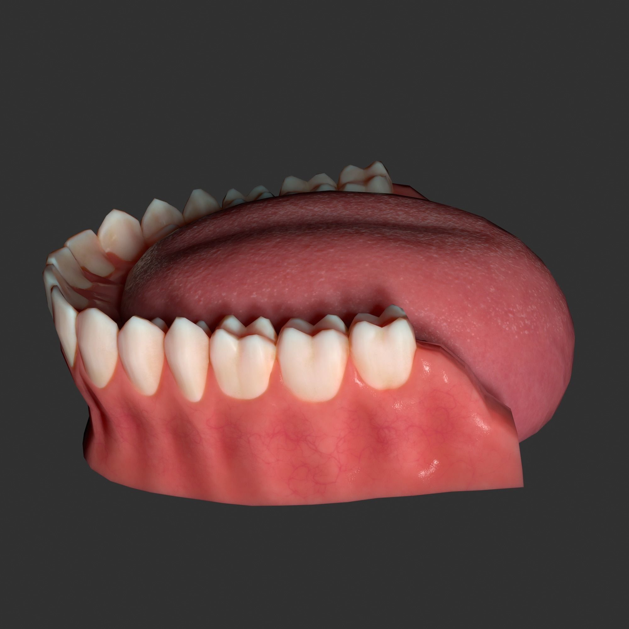 Human mouth Low-poly 3D model_17