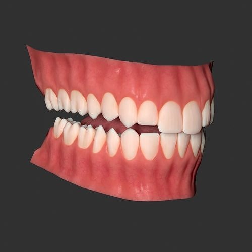 Human mouth Low-poly 3D model