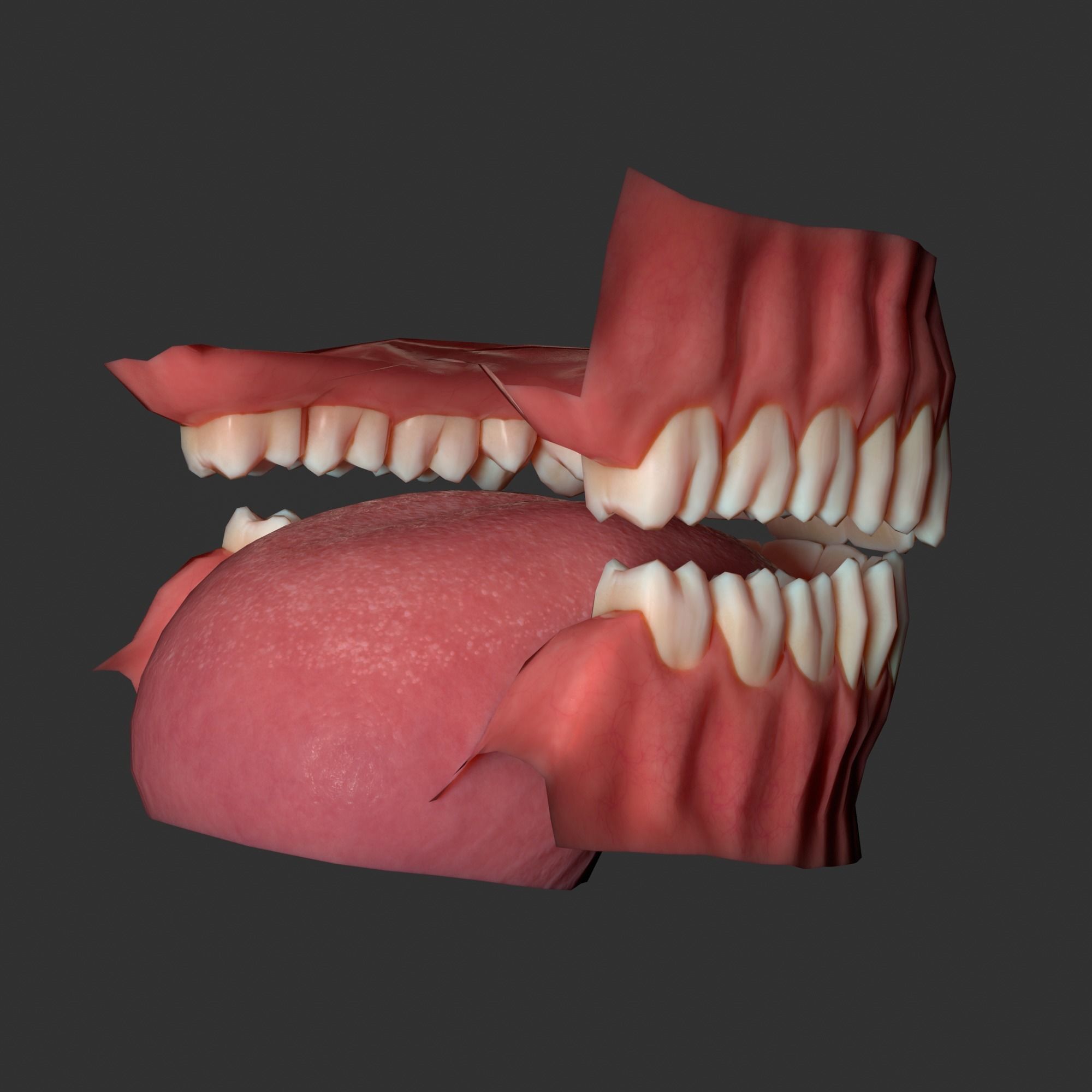 Human mouth Low-poly 3D model_5